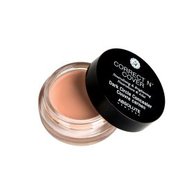 ABSOLUTE Correct N Cover Dark Circle Concealer (Color: Light)